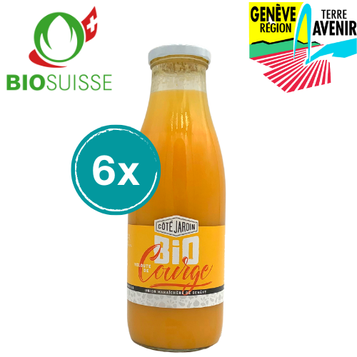 Velouté de Courge Bio null